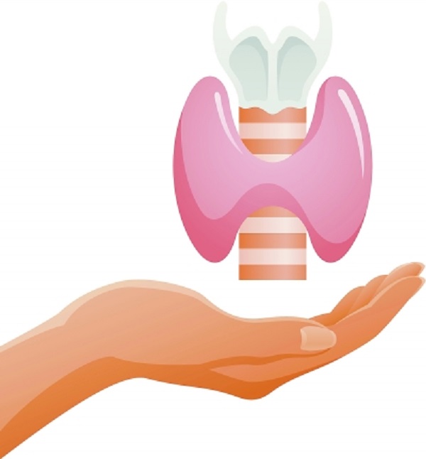 关注甲状腺健康，让生活更加美好&mdash;&mdash;4月26日，我院联合南昌大学第二附属医院许德斌专家团队开展大型义诊活动