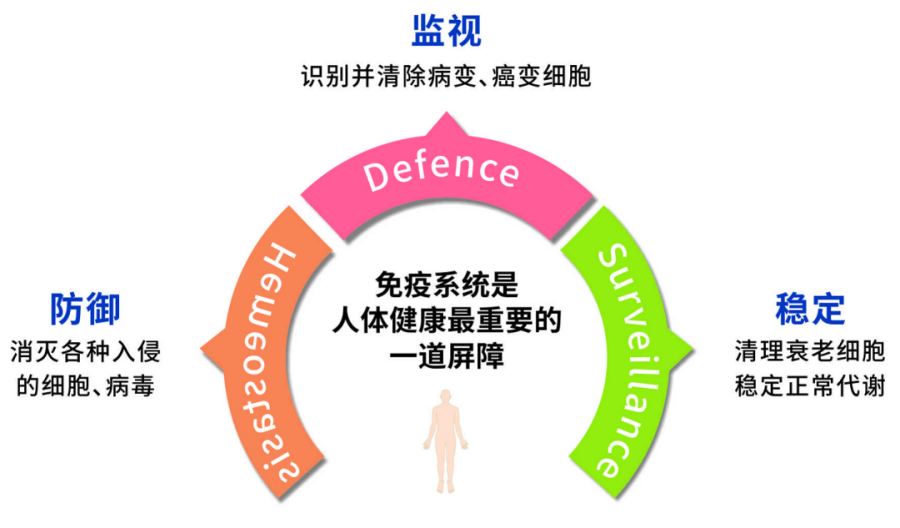 【医讯】免疫五项（IgA、IgG、IgM、C3、C4）检查
